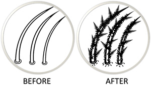 hair-fibre-example